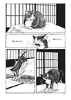 Expands book page image.